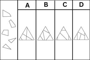 Which option correctly assembles the given pieces?