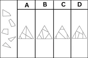 Which option correctly assembles the given pieces?